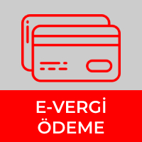e-vergi