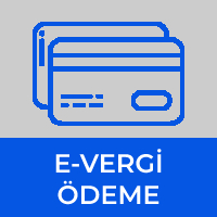 hızlı menü1
