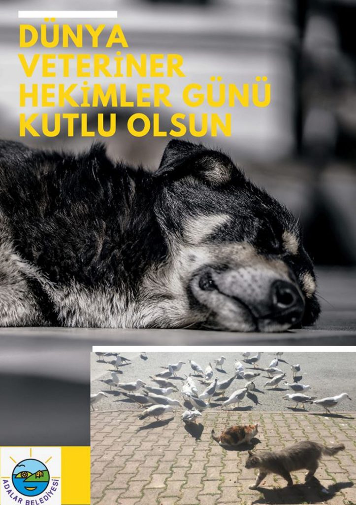 DÜNYA VETERİNER HEKİMLER GÜNÜ KUTLU OLSUN.