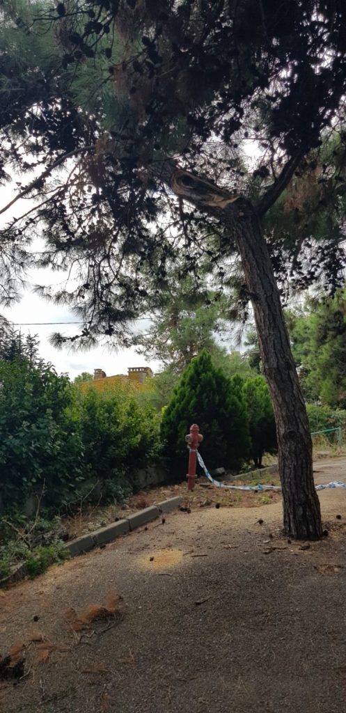 Olumsuzluklar belediyemiz park bahçeler ve temizlik ekiplerimizce giderildi.