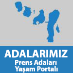 Anasayfa