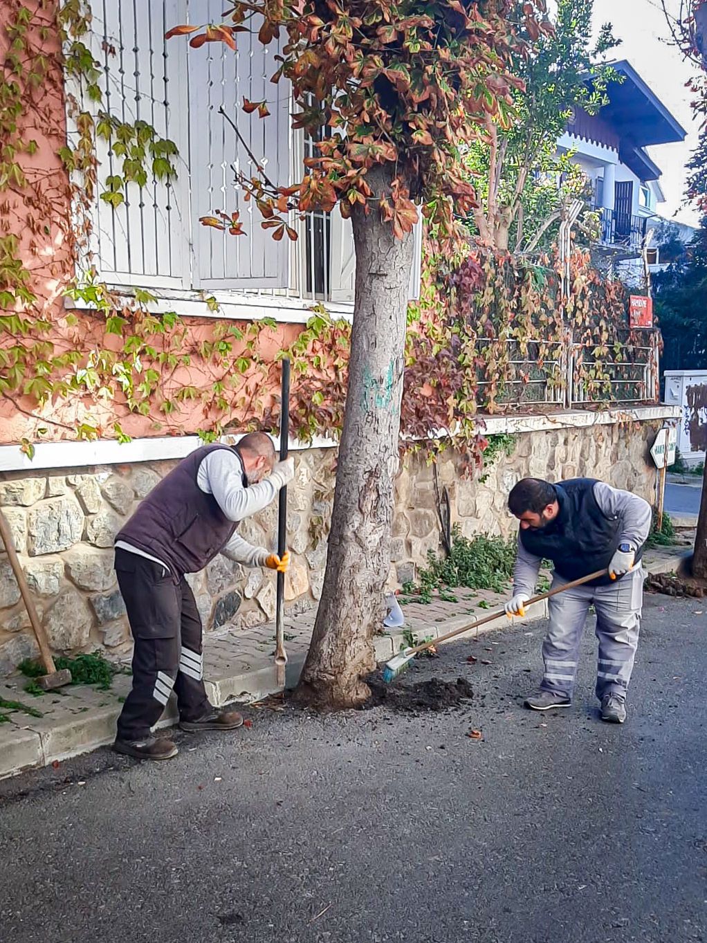 Adalar Genelinde Temizlik ve Asfalt Yamalama İşlemleri Devam Ediyor