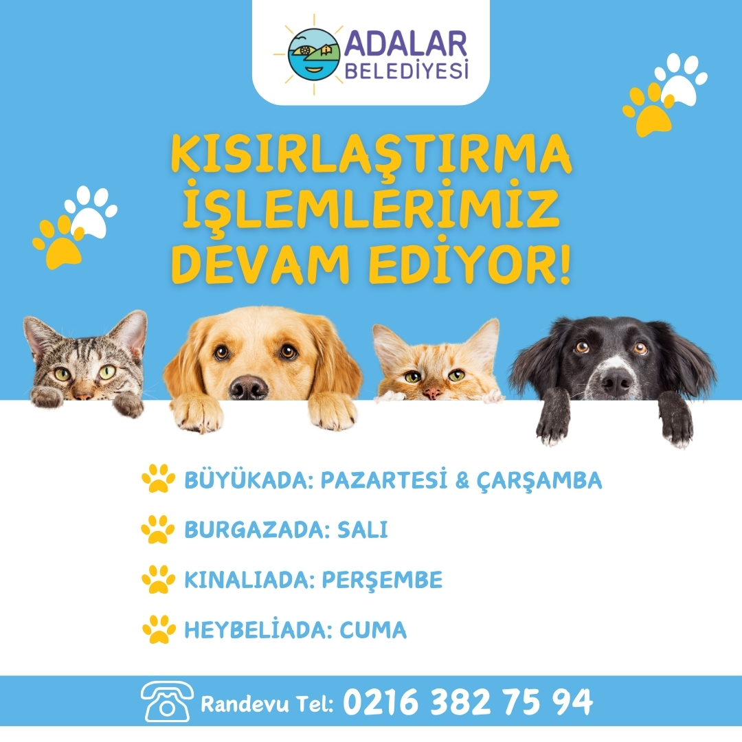 Adalar Belediyesi Veterinerlik Programı