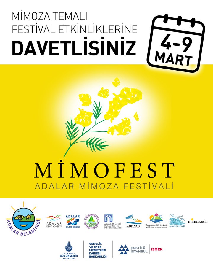 Adalar Mimoza Festivali Başlıyor!