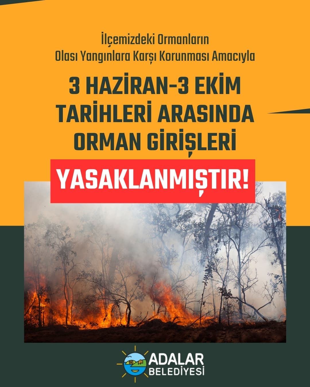Adalar’da Orman Girişleri Ekim’e Kadar Yasaklandı