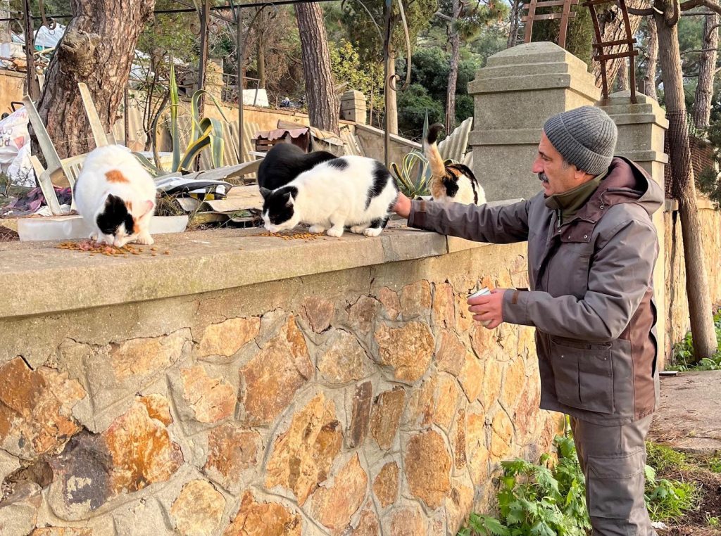 Başkanımız Akpolat’tan Sokak Canları İçin Mesaj