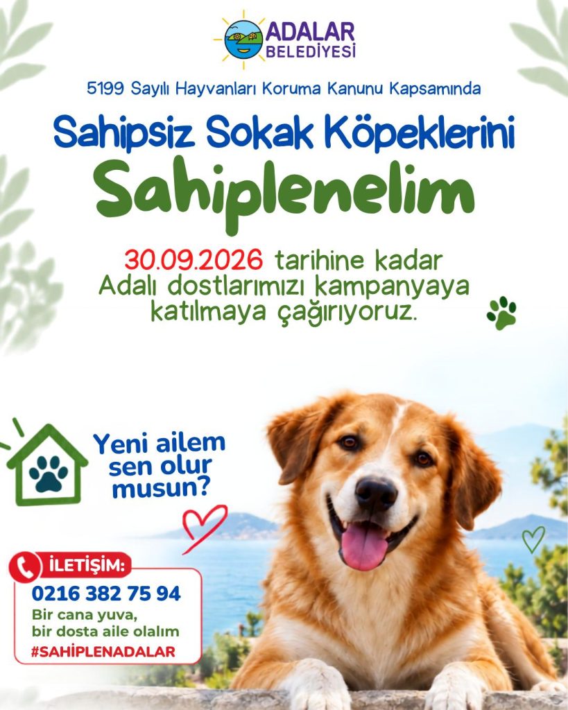 Sokaklarımızı Paylaştığımız Patili Dostlarımıza Sahip Çıkalım!